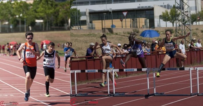 Ivan Hernández (2013)