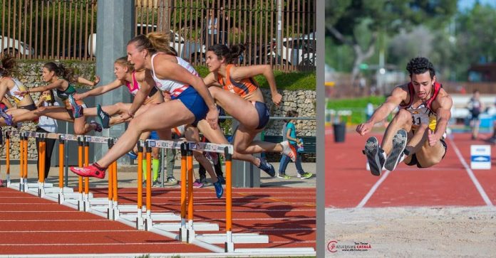 Campionat de Catalunya de Clubs