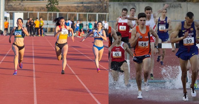 Campionat de Catalunya de Clubs