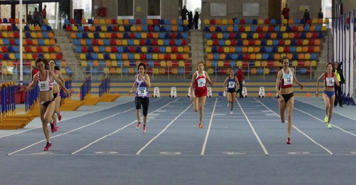 catclubsveteranspc2016