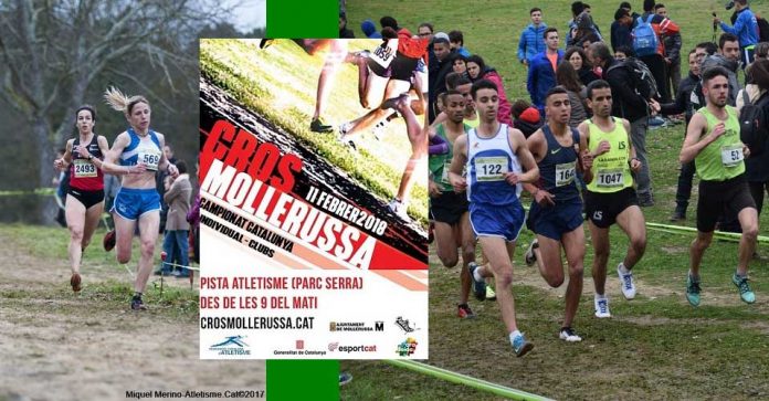 Campionat de Catalunya de Cros