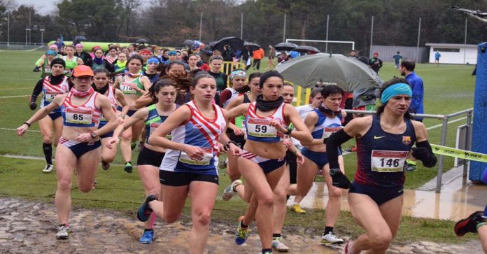 Campionat de Catalunya de Cros Curt per Clubs 2017