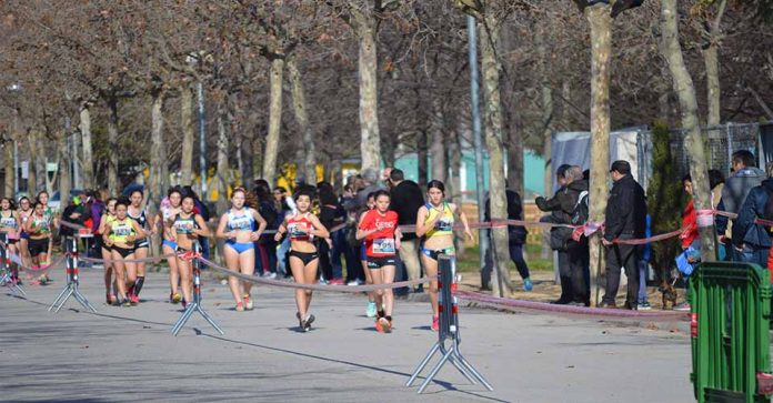 catmarxapromocio2017