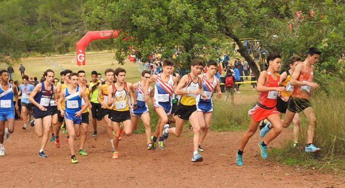 Cros Ciutat de Gavà