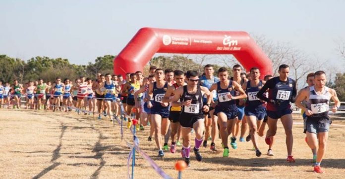 crosmataro2015