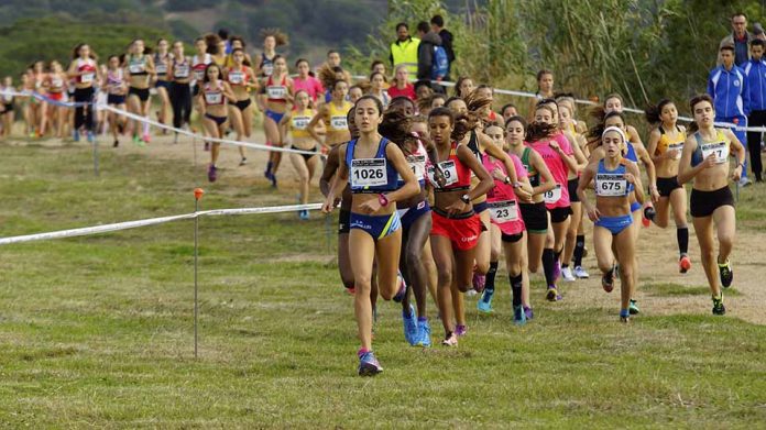 Cros Ciutat de Mataró