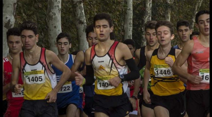 Cros de Santa Coloma de Farners