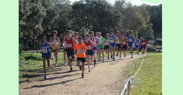 Cros de Sant Sebastià 2017