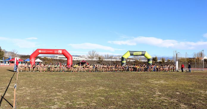 Campionat d'Espanya de Cros CSD