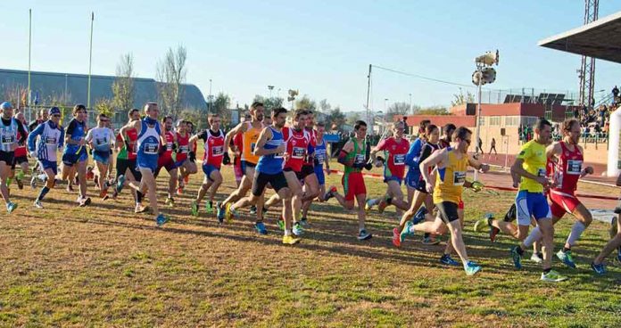 Campionat d'Espanya de Cros Màster