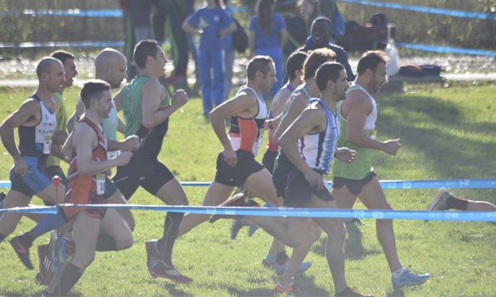 Campionat d'Espanya de Cros Màster