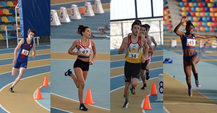 Erta, Prat, Maijo i Muakuku