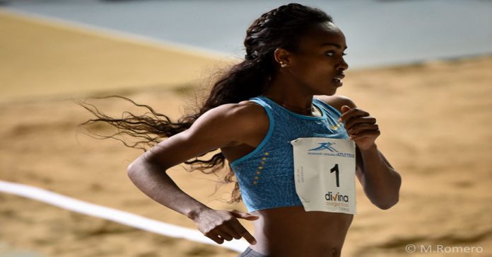 genzebedibaba2016