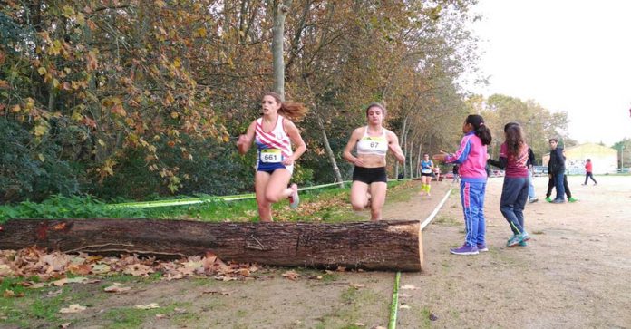 marinaguerrerofarners2016