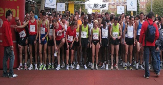 mitjamaratomataro2015